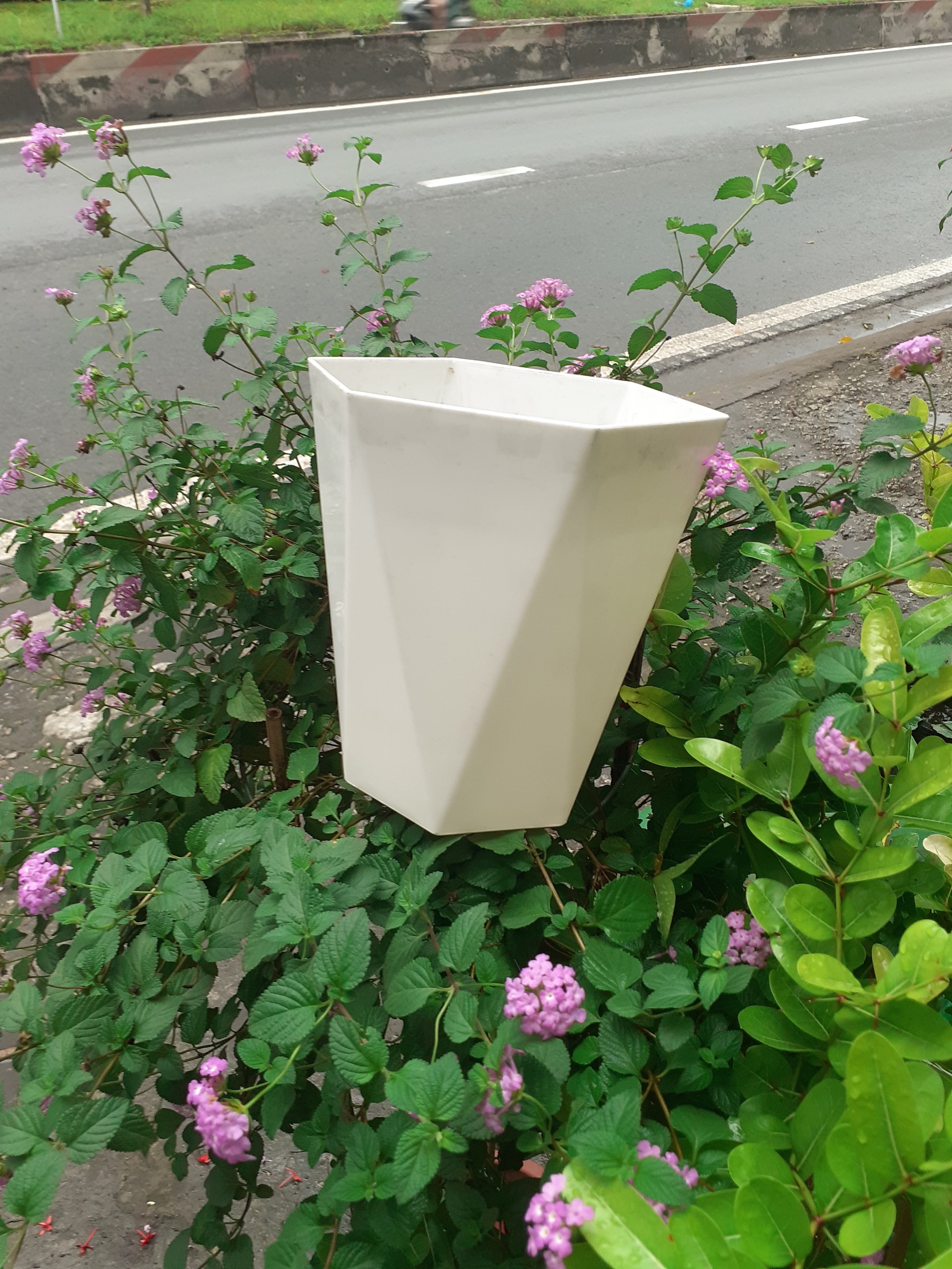 Chậu nhựa lục giác kim cương