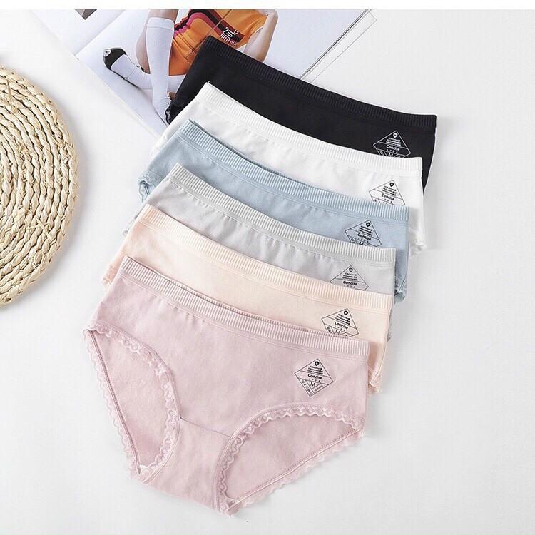 5 QUẦN LÓT COTTON Y TẾ KHÁNG KHUẨN NHẬT BẢN