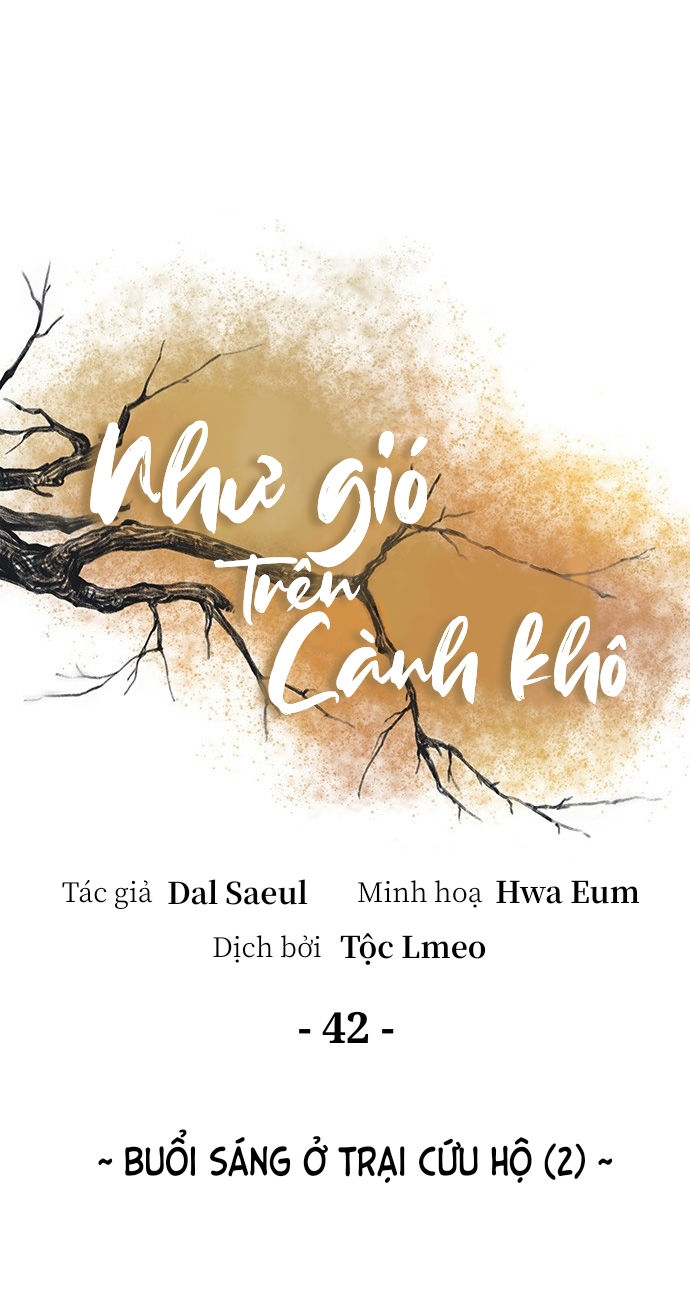 như gió trên cành cây khô chapter 42 22