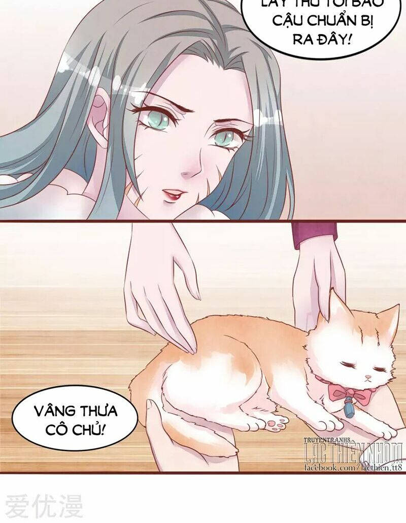 đào tạo nuôi dưỡng bạn trai mèo chapter 53 4