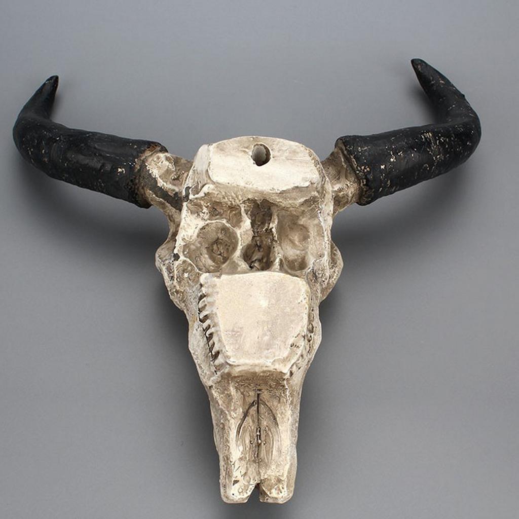 Resin Animal Head Wall Mount, Hanging Wall Sculpture Home Decor,Bull Head