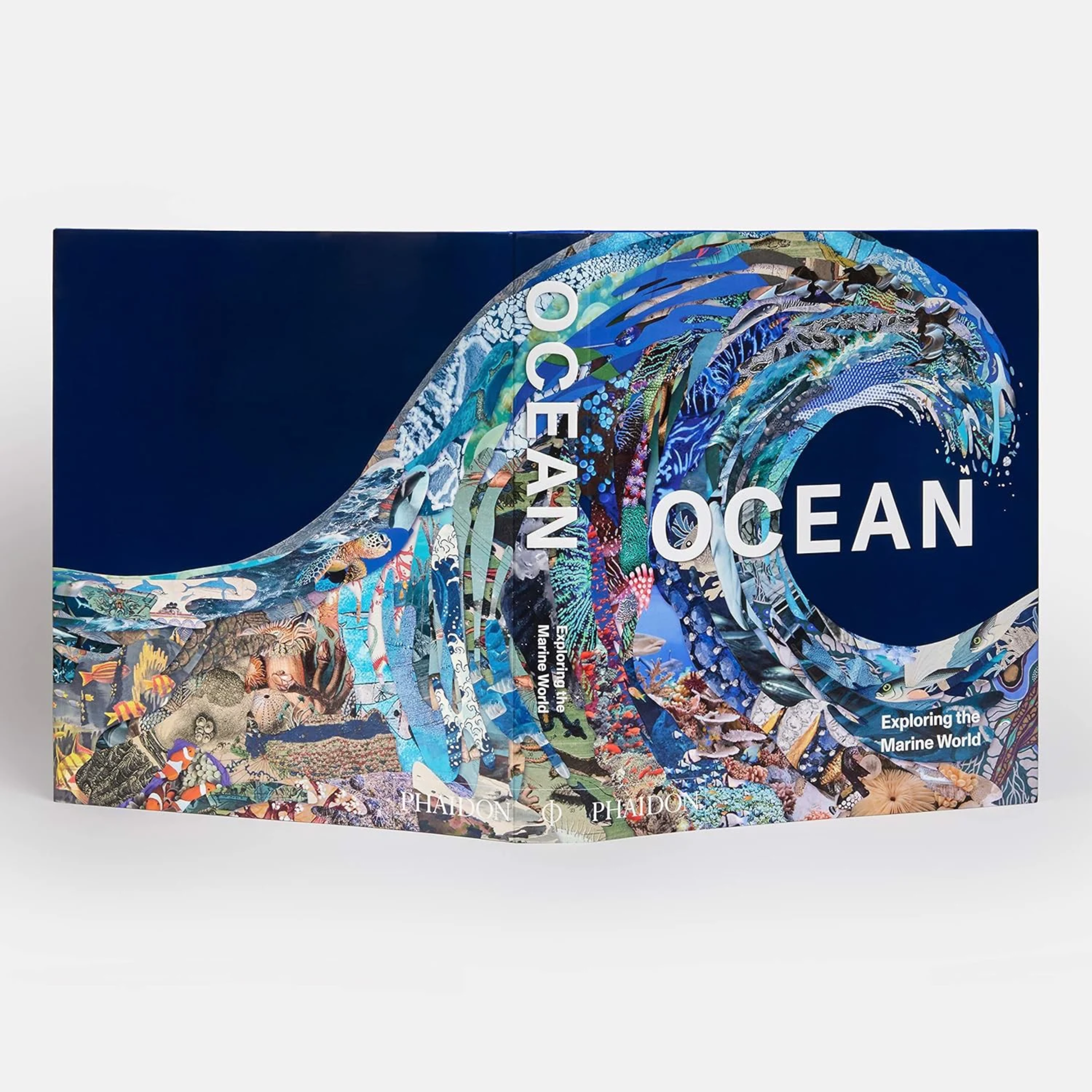 Artbook - Sách Tiếng Anh -  Ocean: Exploring the Marine World