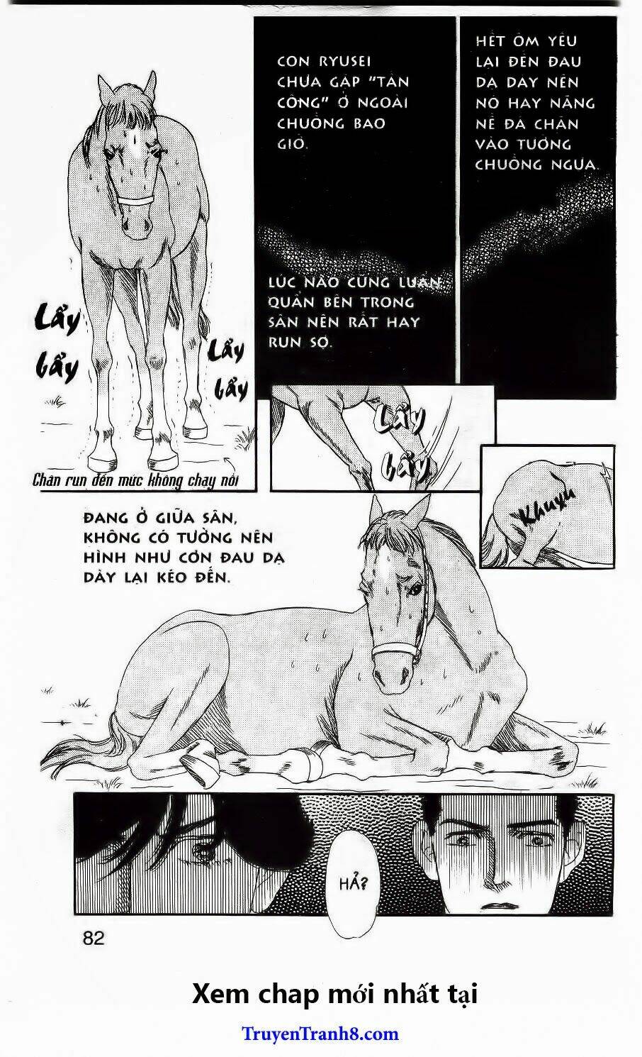 bác sĩ thú y chapter 37 13