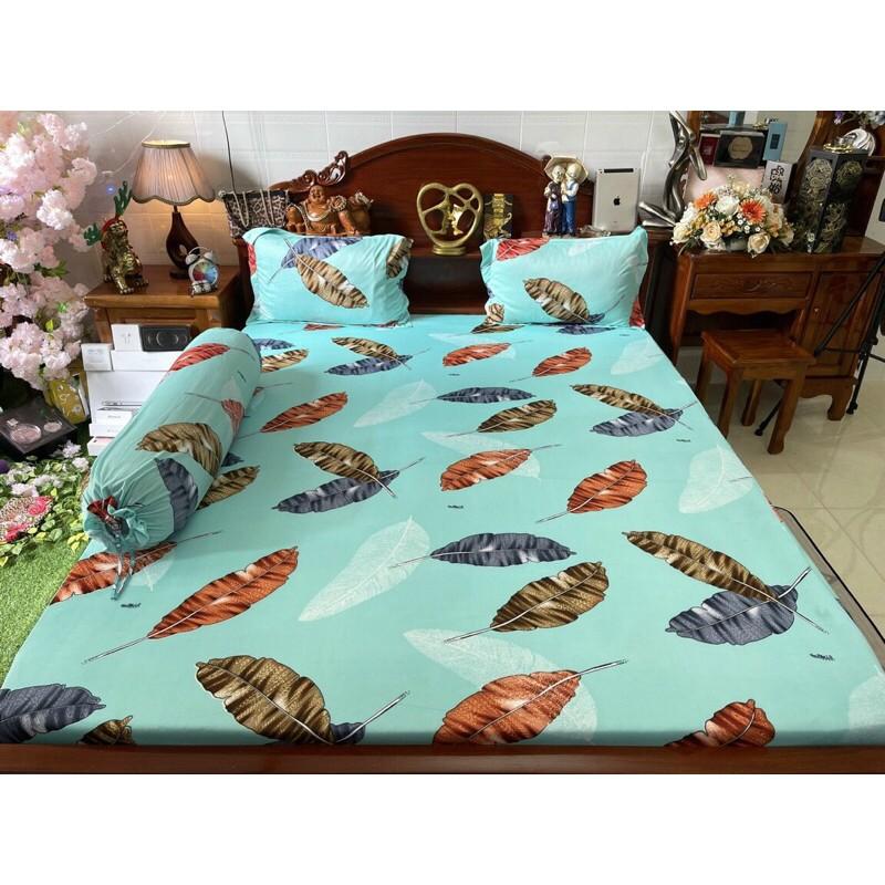 Drap thun Hàn quốc