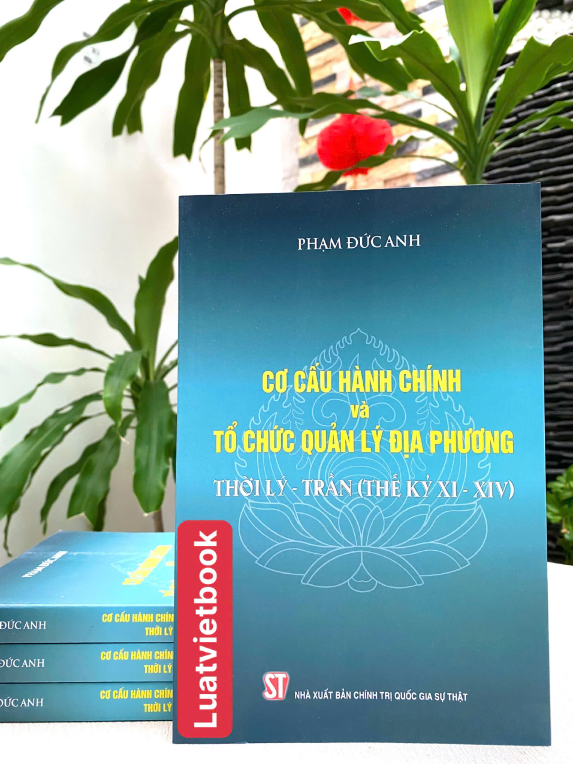 Cơ Cấu Hành Chính và Tổ Chức Quản Lý Địa Phương Thời Lý - Trần ( Thế Kỷ XI - XIV)