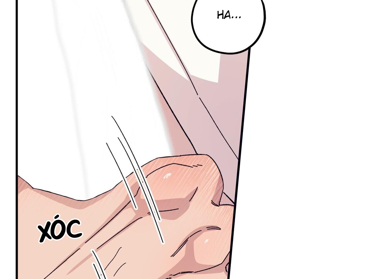 chàng dâu nhà họ kang chapter 44 46