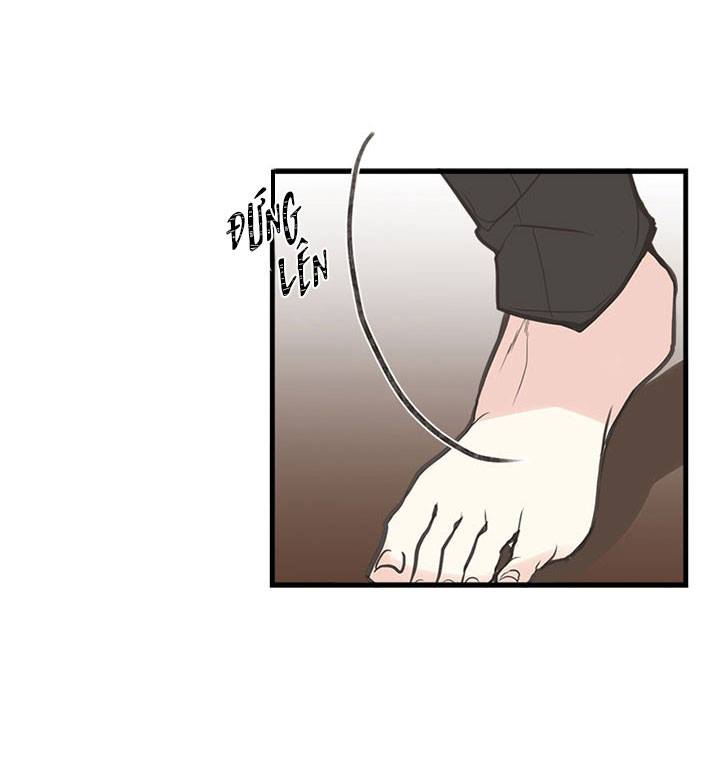 chị tôi đã nhặt về một nam chính quyến rũ chapter 3 51