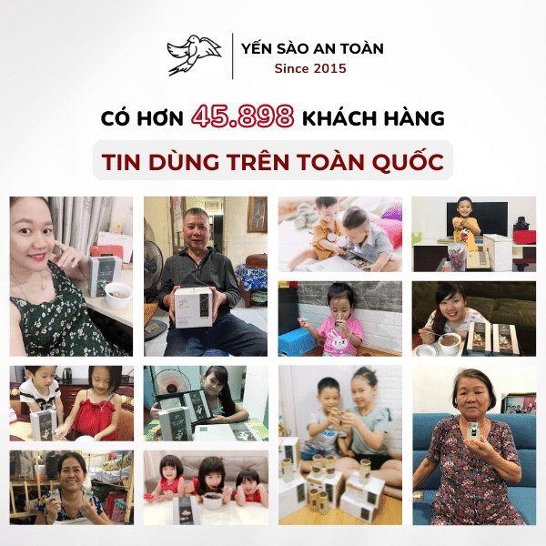 Hồng Yến rút lông thượng hạng nguyên chất từ tổ yến Khánh Hòa Yến Sào An Toàn