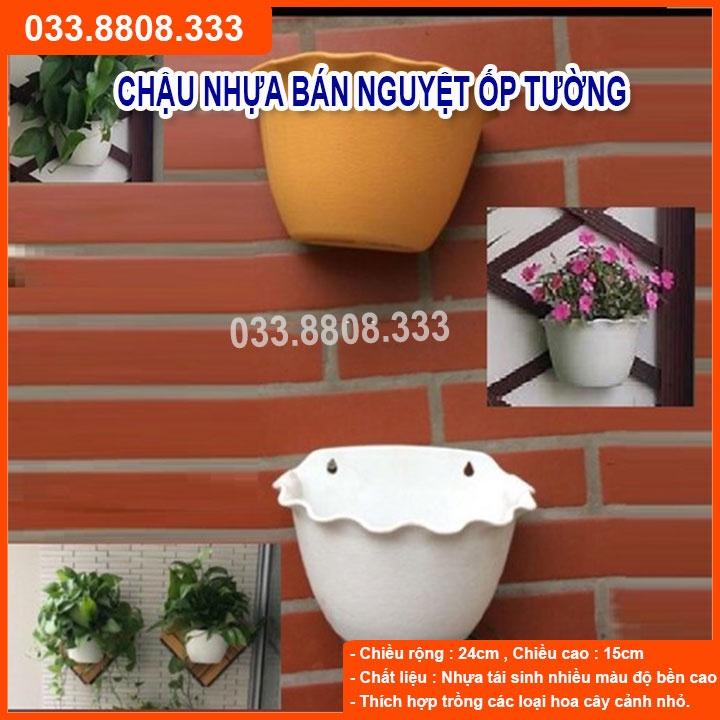 5 Chậu Nhựa Trồng Cây Bán Nguyệt Treo Tường - Chậu Ốp Tường Siêu Xinh