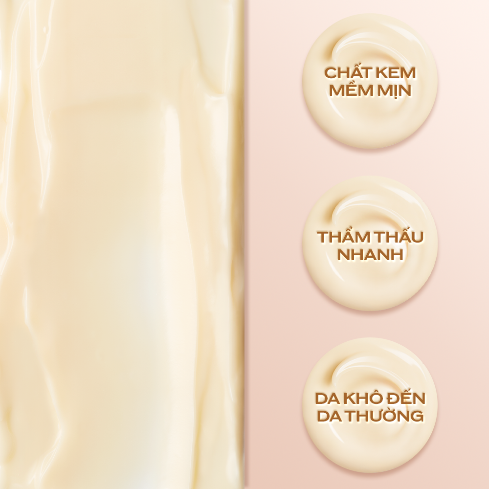 Kem dưỡng da chống lão hóa giàu ẩm Shiseido Benefiance Wrinkle Smoothing Cream Enriched 50ml