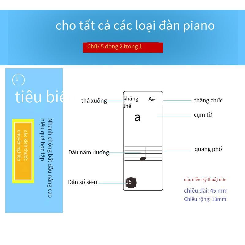 Nhãn dán quy mô đàn piano trong suốt chữ X-01Z thuận lợi nhất Nhãn dán phím đàn piano điện tử 37 phím 49/61/88 phím đàn piano điện