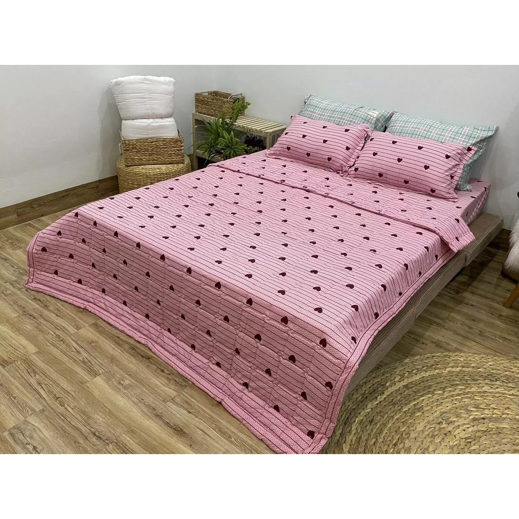 Bộ 5 Món Chăn Hè Ga Gối Mẫu Kẻ tim nhỏ