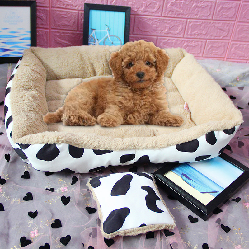 NỆM CHO CHÓ POODLE BÒ SỮA