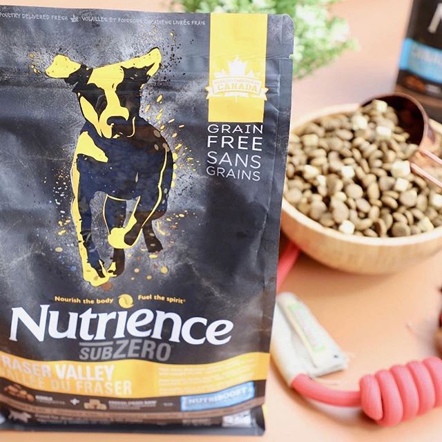 Thức Ăn Hạt Cho Chó Nutrience Subzero Có Hạt Thịt Tươi Bao 500g - Thịt Gà Tây, Cá Hồi, Cá Đại Dương, Rau Củ Và Trái Cây Tự Nhiên