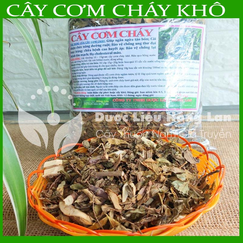Cây Cơm Cháy khô sạch đóng gói 500g