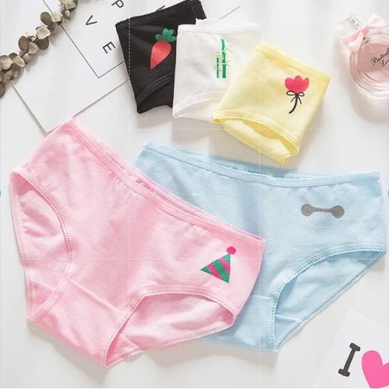 Quần Lót Nữ Cotton Hoa Hồng Thời Trang Xuất Hàn Hàng Loại Đẹp.
