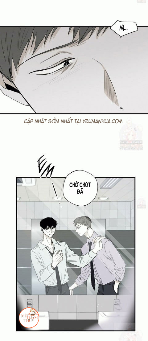 chiếu tướng chapter 20 35