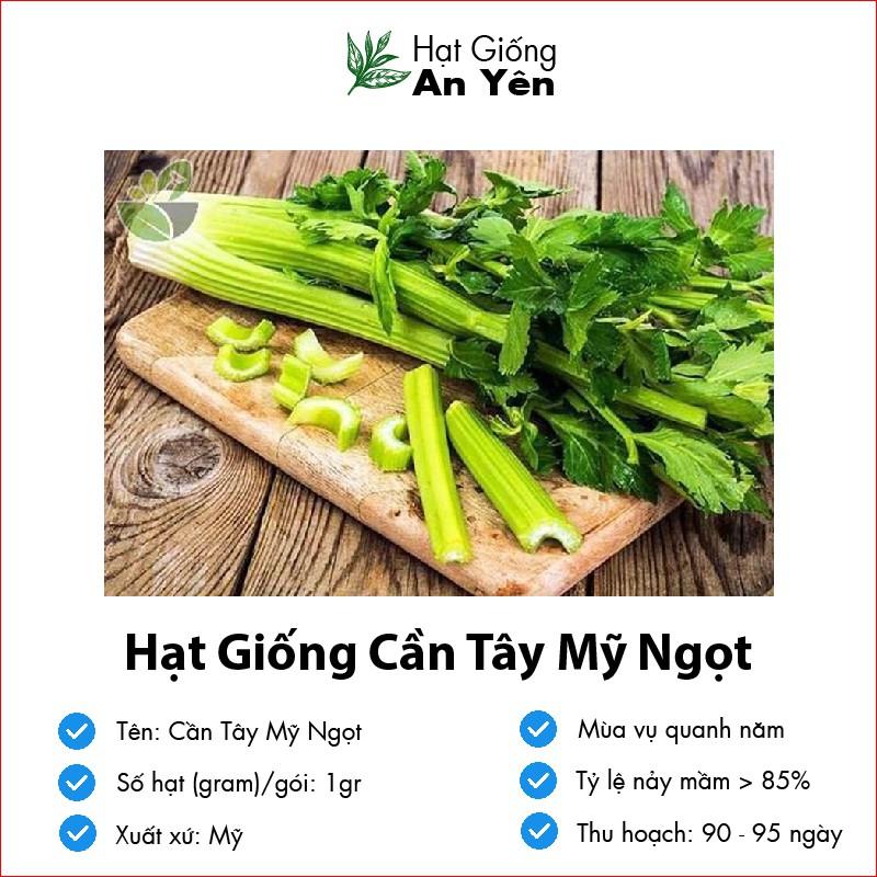 Hạt giống Cần Tây ngọt, nhanh thu hoạch, dễ trồng, nảy mầm và năng suất cao