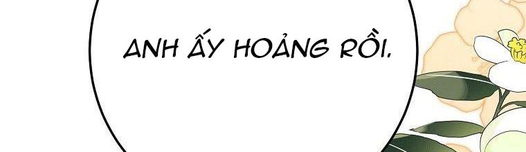 xin hãy kết hôn với em chapter 36 220