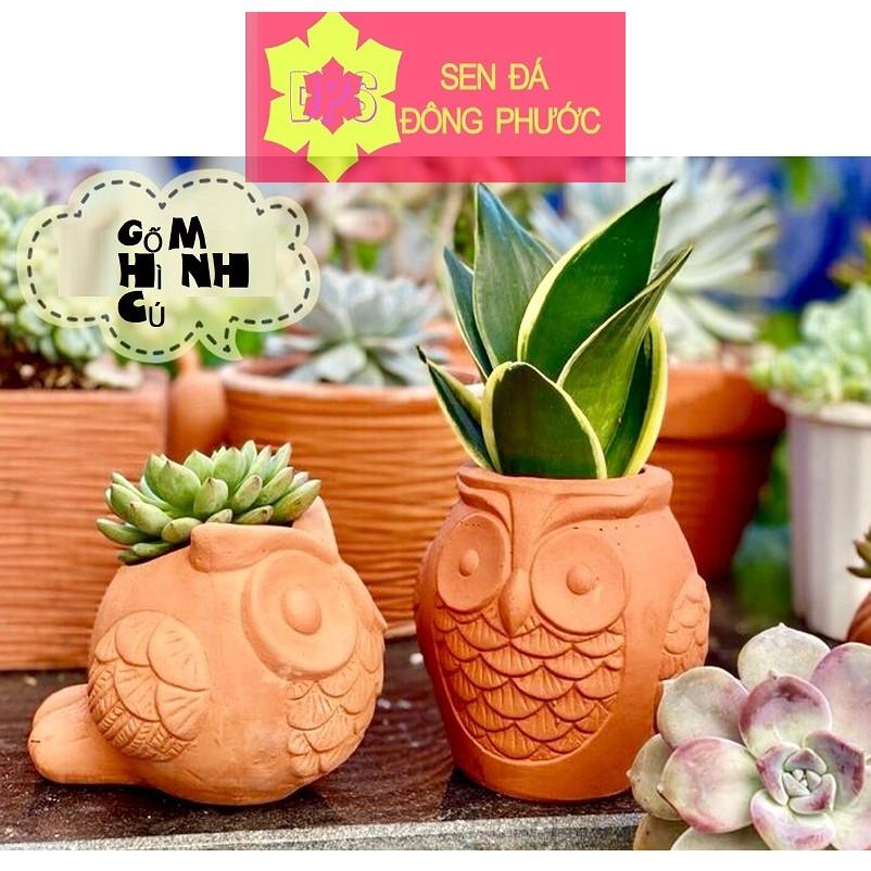 Chậu đất nung hình chim cú mèo hình lu - chậu trồng tiểu cảnh sen đá, xương rồng, cây phong thuỷ văn phòng đẹp