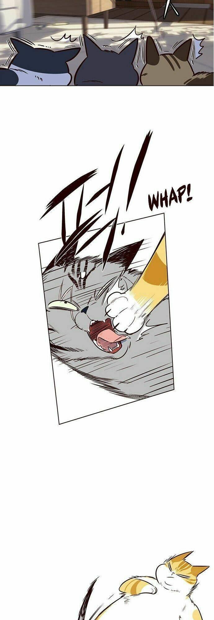 biến thân thành mèo chapter 7 43