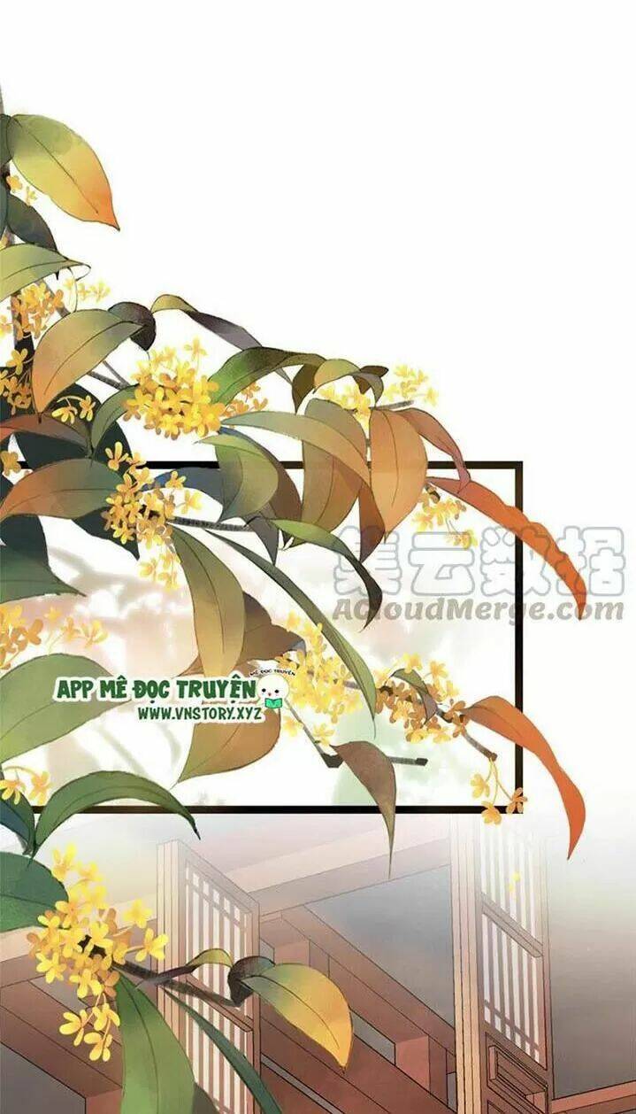 kiều nữ độc phi chapter 243 28