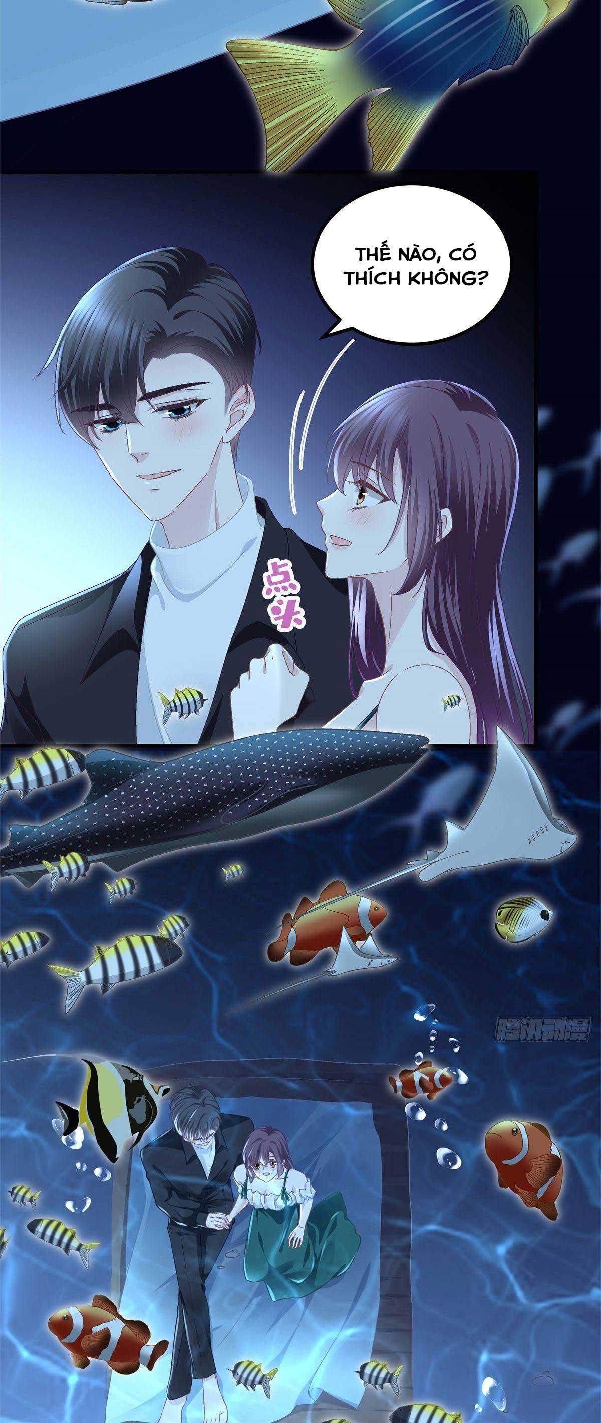 trọng sinh về chinh phục tổng tài chapter 65 15