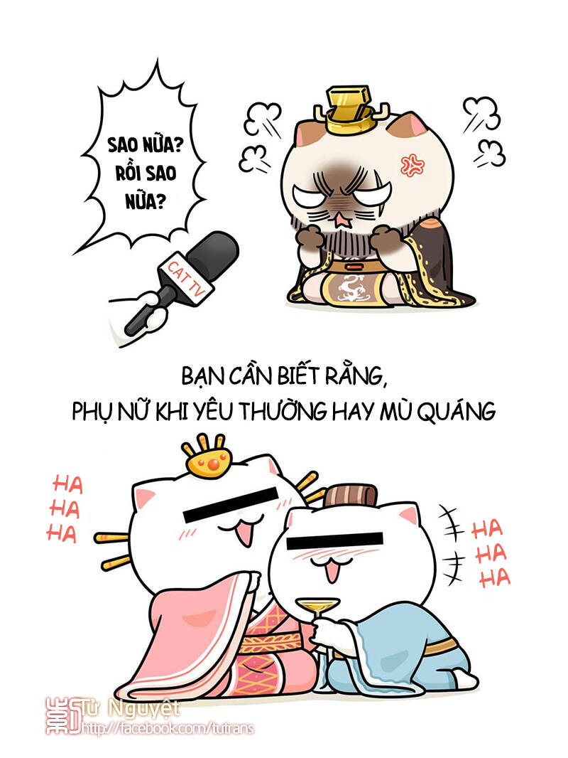 nếu lịch sử là một bầy mèo chapter 25 25