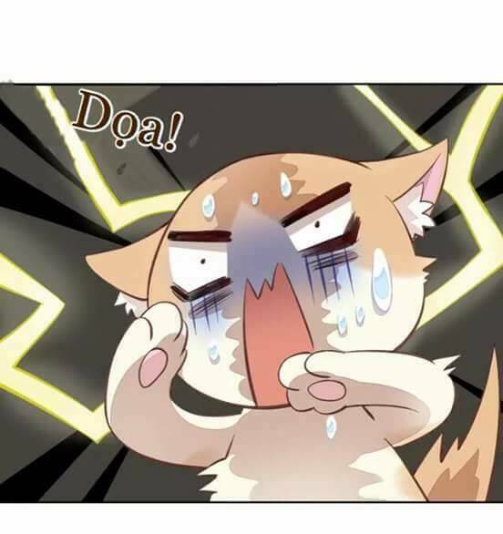 dưới móng vuốt mèo chapter 7 26