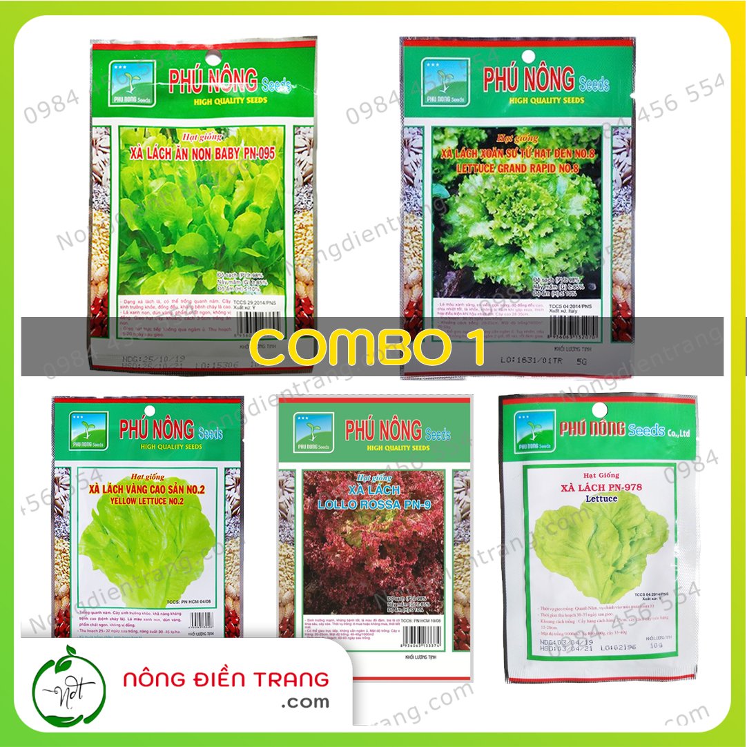 COMBO 5 gói hạt giống rau xà lách các loại - VTNN Nông Điền Trang