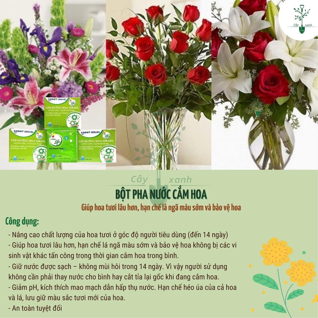 Bột Pha Nước Cắm Hoa Tươi Lâu Long Life 1 Hộp 10 Gói - Bột Dưỡng Hoa Không Héo, Lâu Tàn, Không Thối Nước