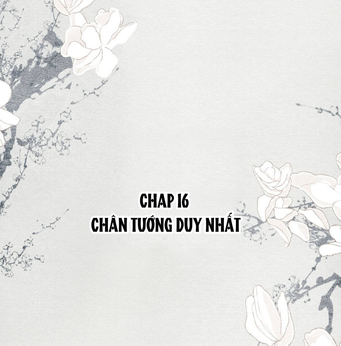 không cẩn thận cứu phải kẻ thù của giang hồ chapter 16 2