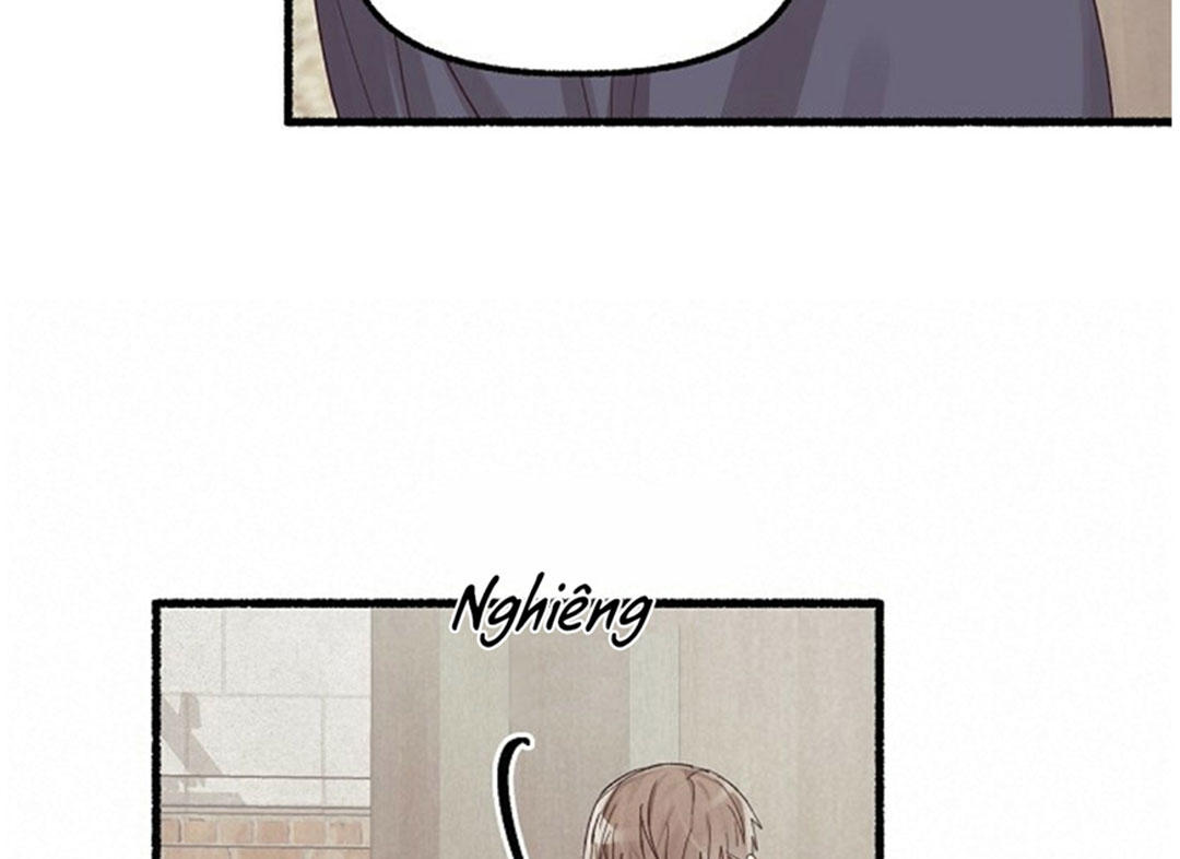 hoa triều chapter 18 36