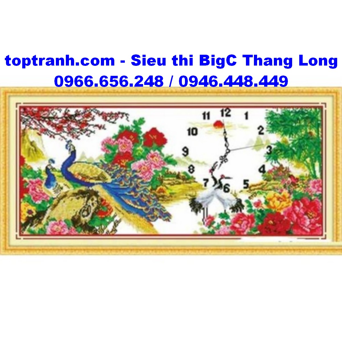 Tranh thêu chữ thập đồng hồ vợ chồng công, hoa mẫu đơn A1081 chưa thêu