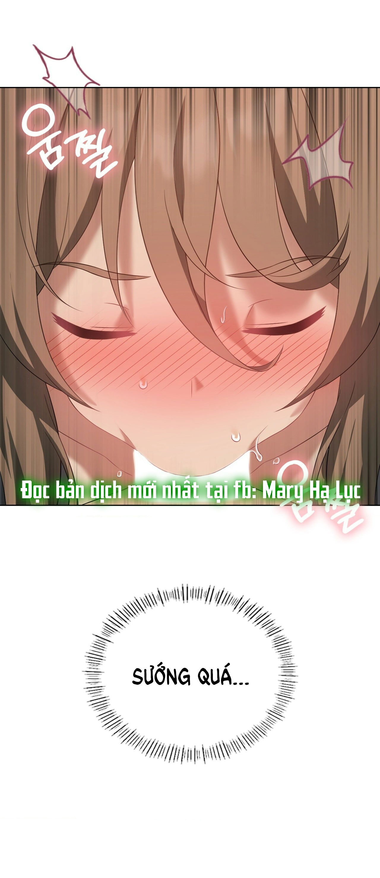 [18+] thăng cấp đến khi hài lòng chapter 37.2 13