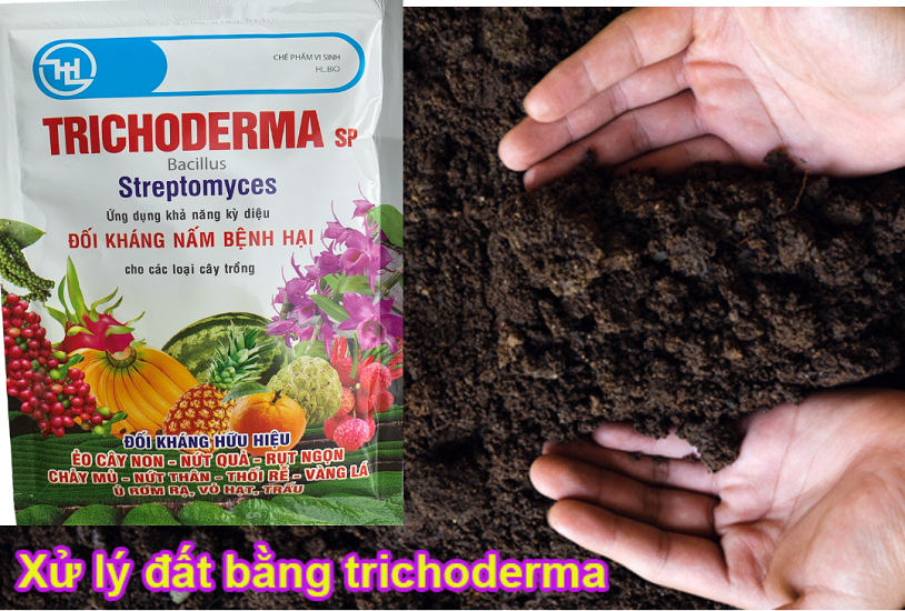 Nấm Đối Kháng Trichoderma SP Bacillus - Streptomyces - 100Gr