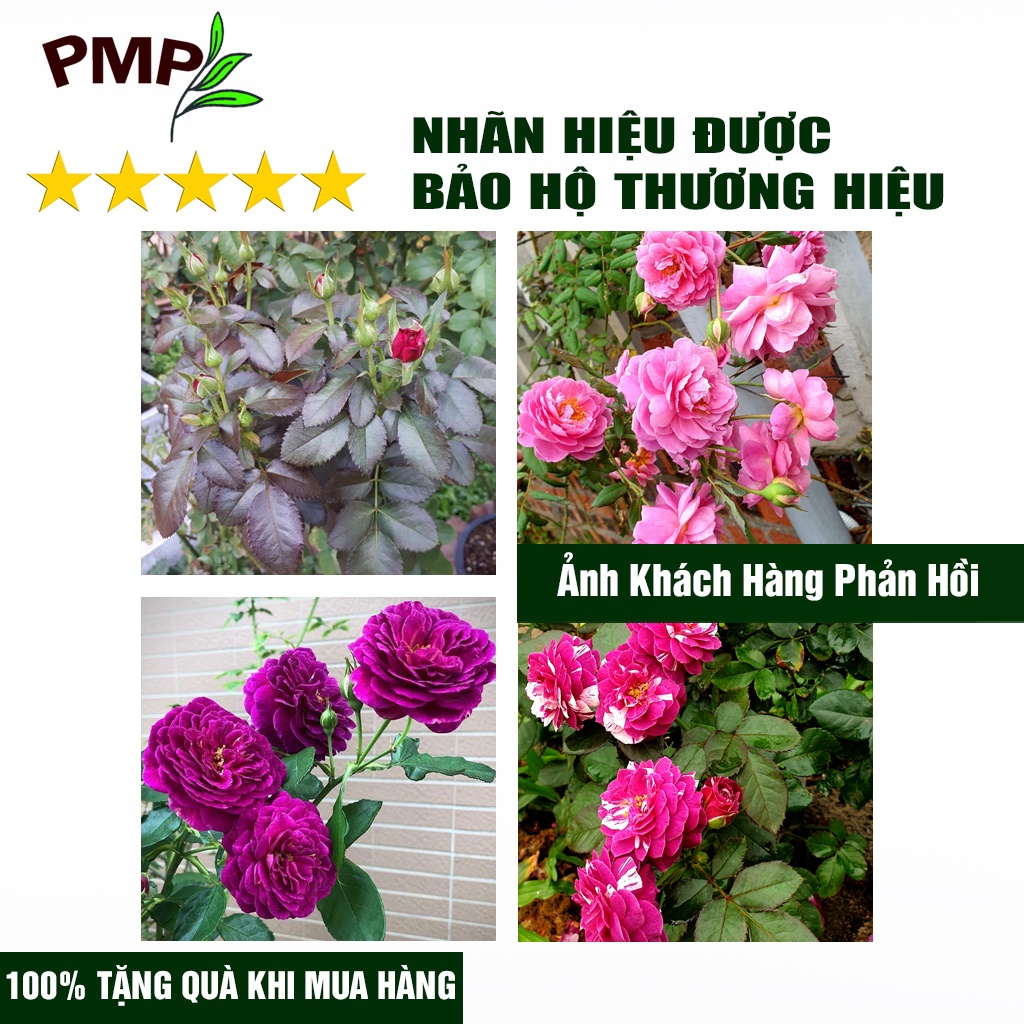 Phân đạm cá hữu cơ Hyfish PMP cho rau sạch, hoa, cây cảnh, cây ăn trái (01 lít)