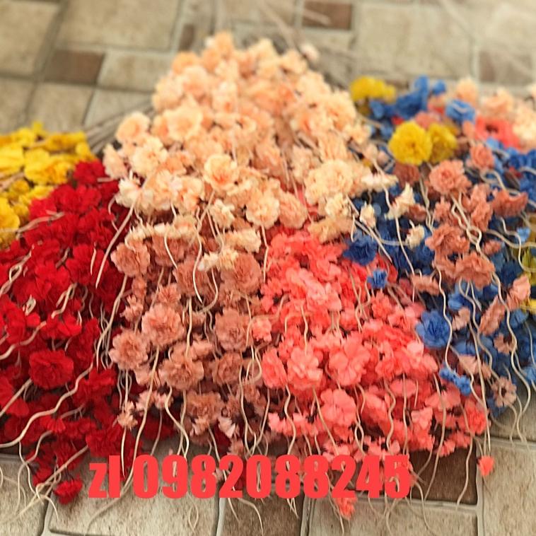 Cành Đào Râu-anh đào 1m ,trang trí TẾT