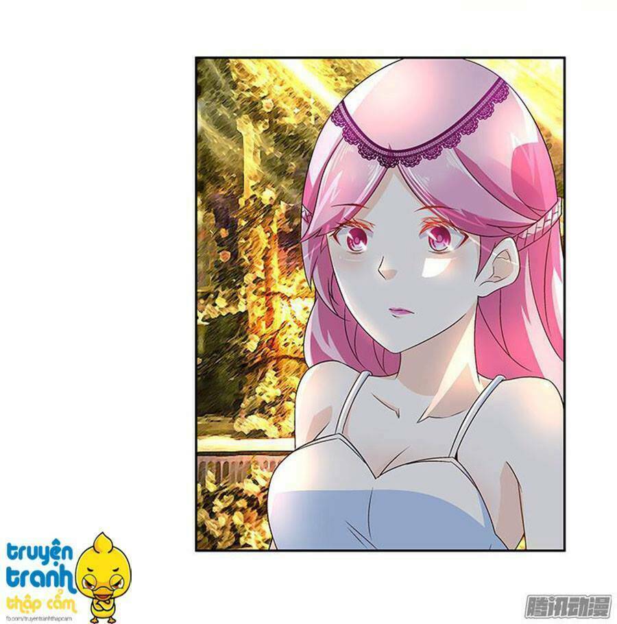 cường sủng hào môn tiểu manh thê chapter 16 17