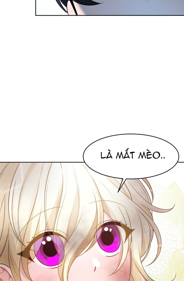 bước đi trên con đường hoa chapter 2 13