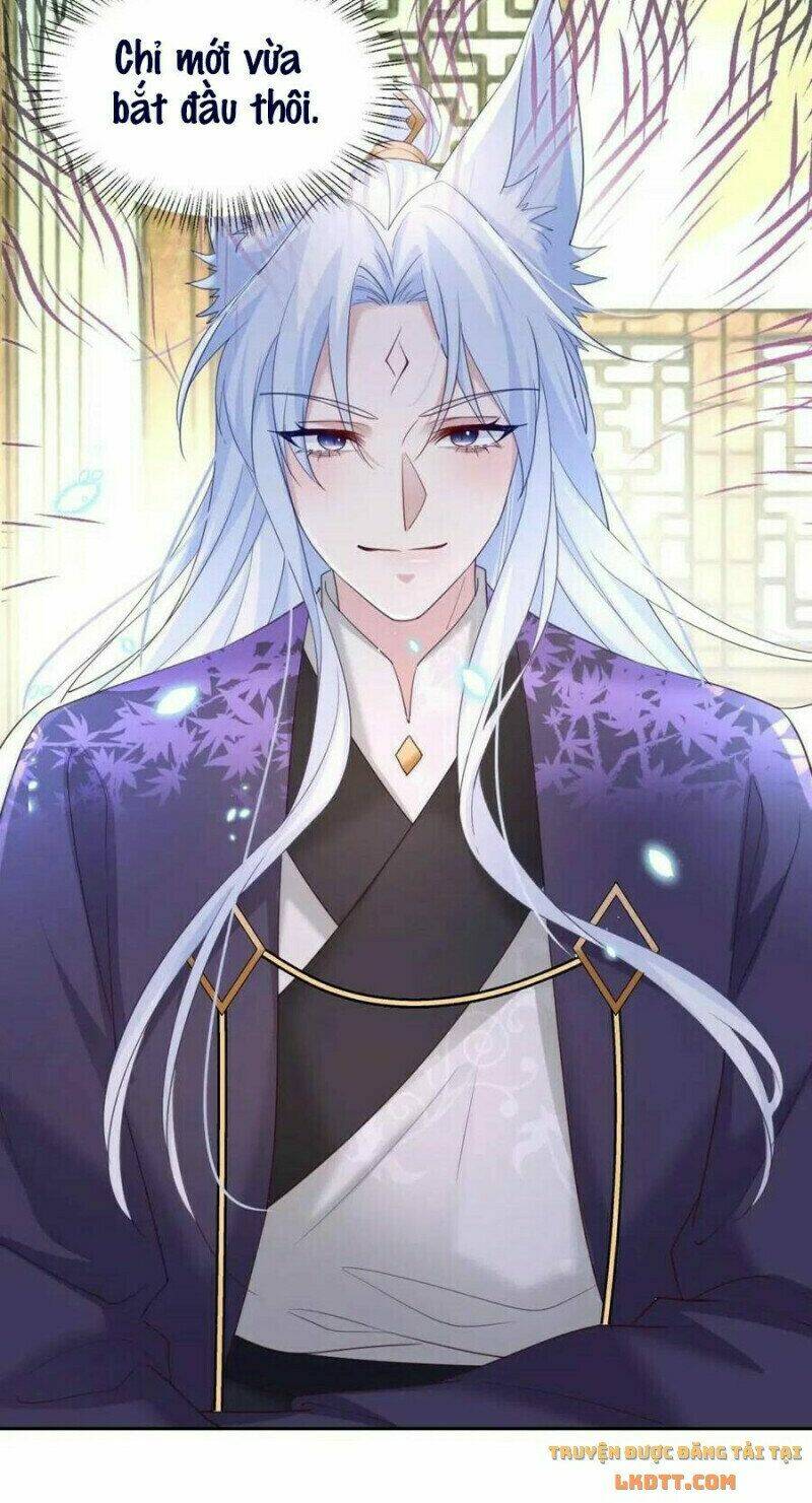 hắc hóa nam chính trực tuyến nuôi thỏ chapter 61 17