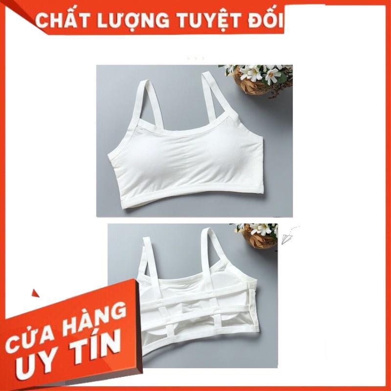 Áo Bra 3 Dây Có Đệm Ngực Không Gọng Mát Mỏng