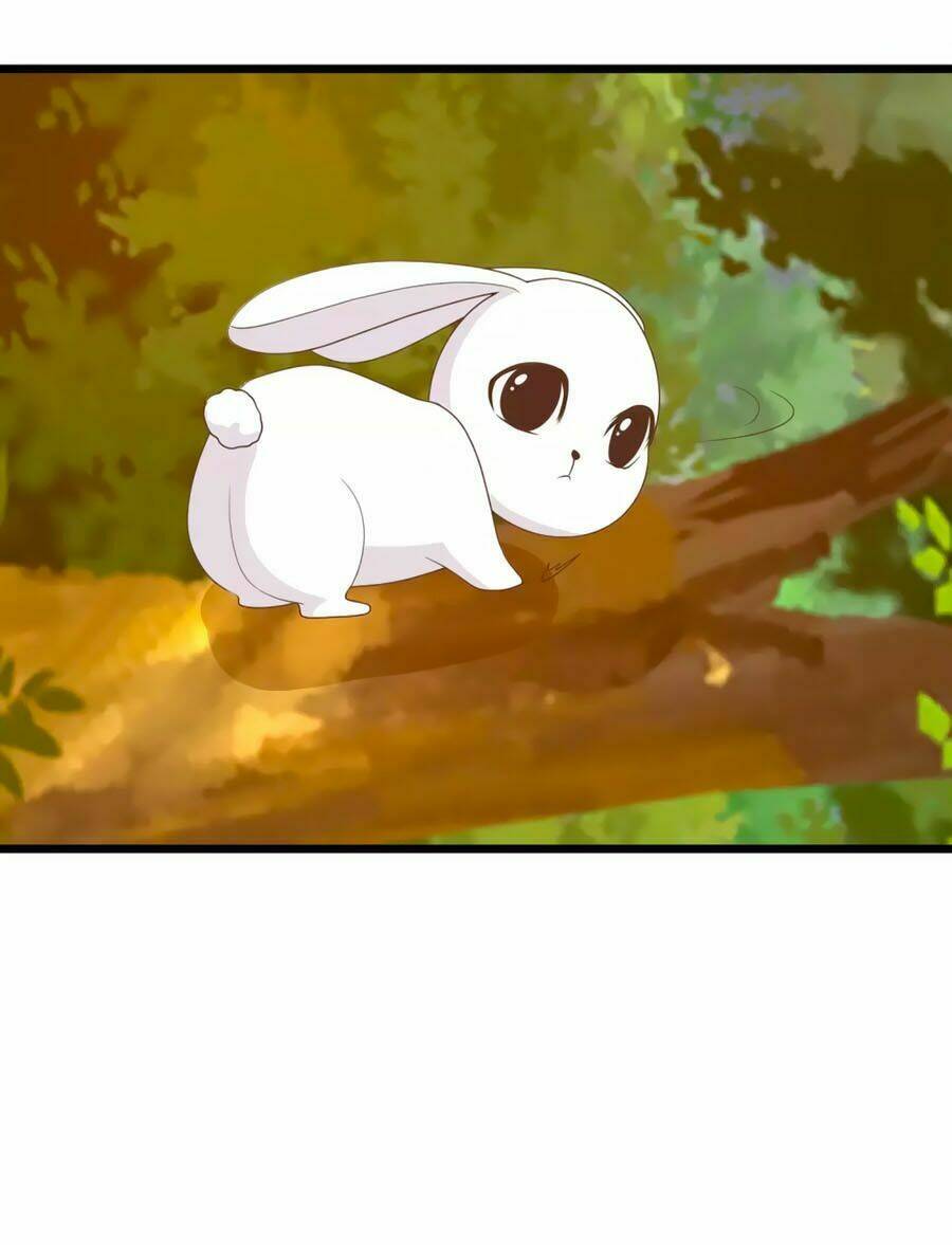 thỏ yêu tiểu vương phi chapter 95 22