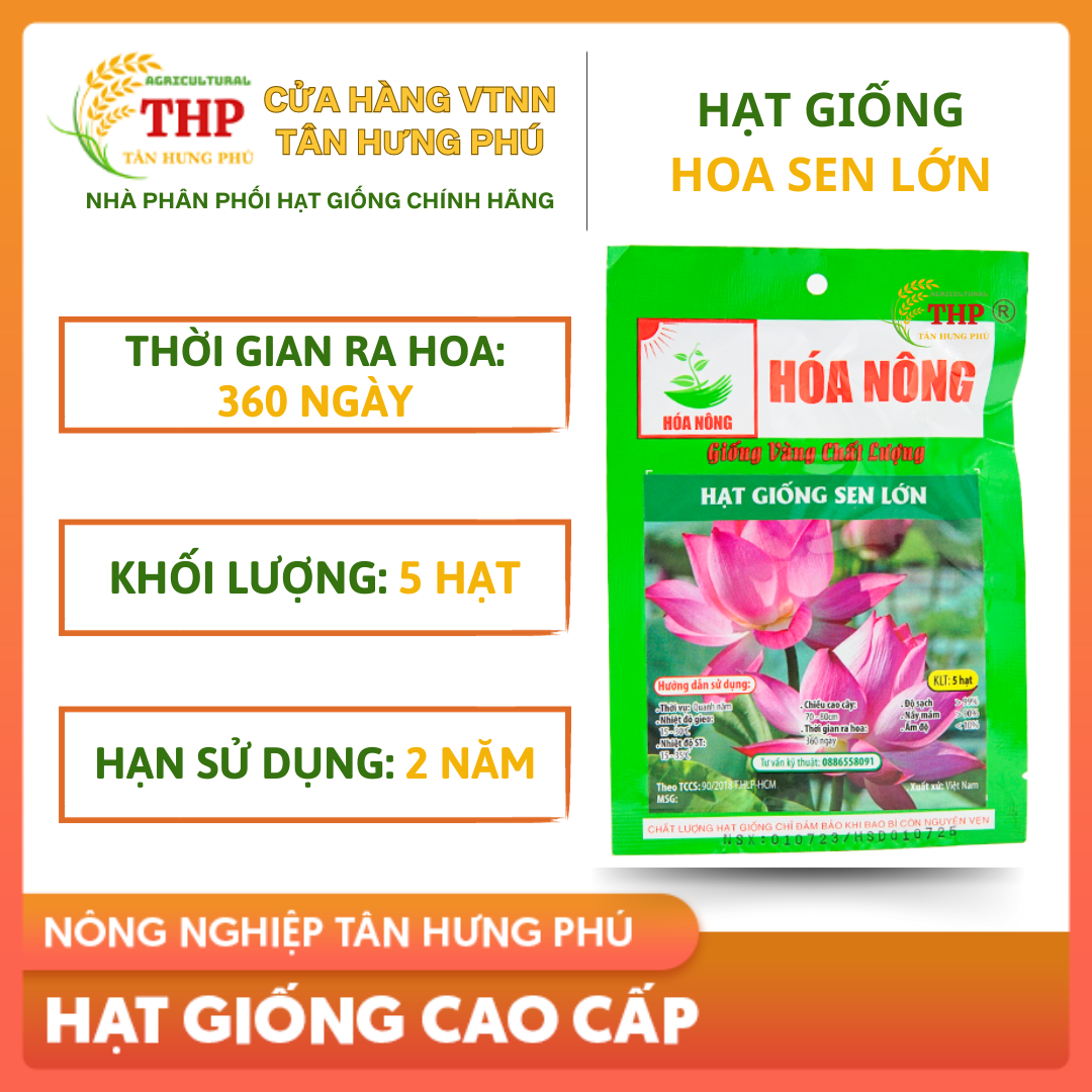 Hạt giống Sen Lớn | Hạt Giống | gói 5 hạt