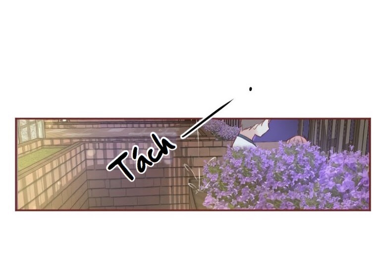 mù quáng vì yêu anh chapter 4 64