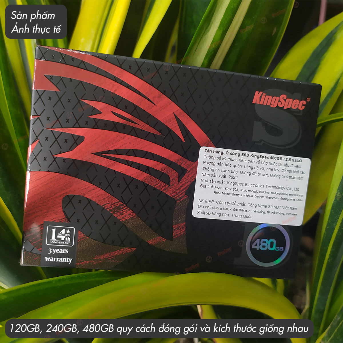 Ổ cứng SSD KingSpec 480GB SATA 2.5 / P4 480G - Hàng Chính Hãng