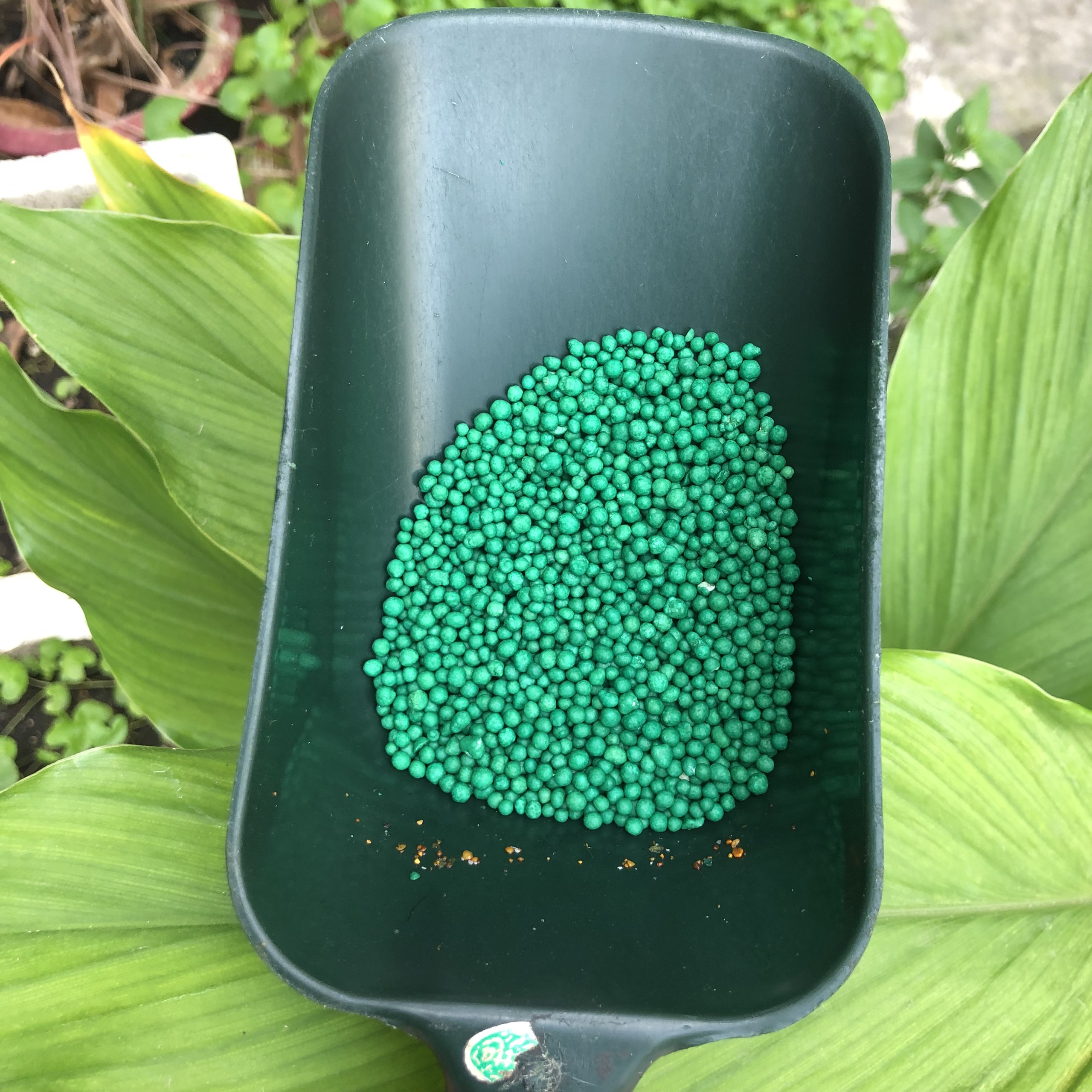 Phân tan Chậm Mỹ PoLyon hạt xanh - 16-6-12