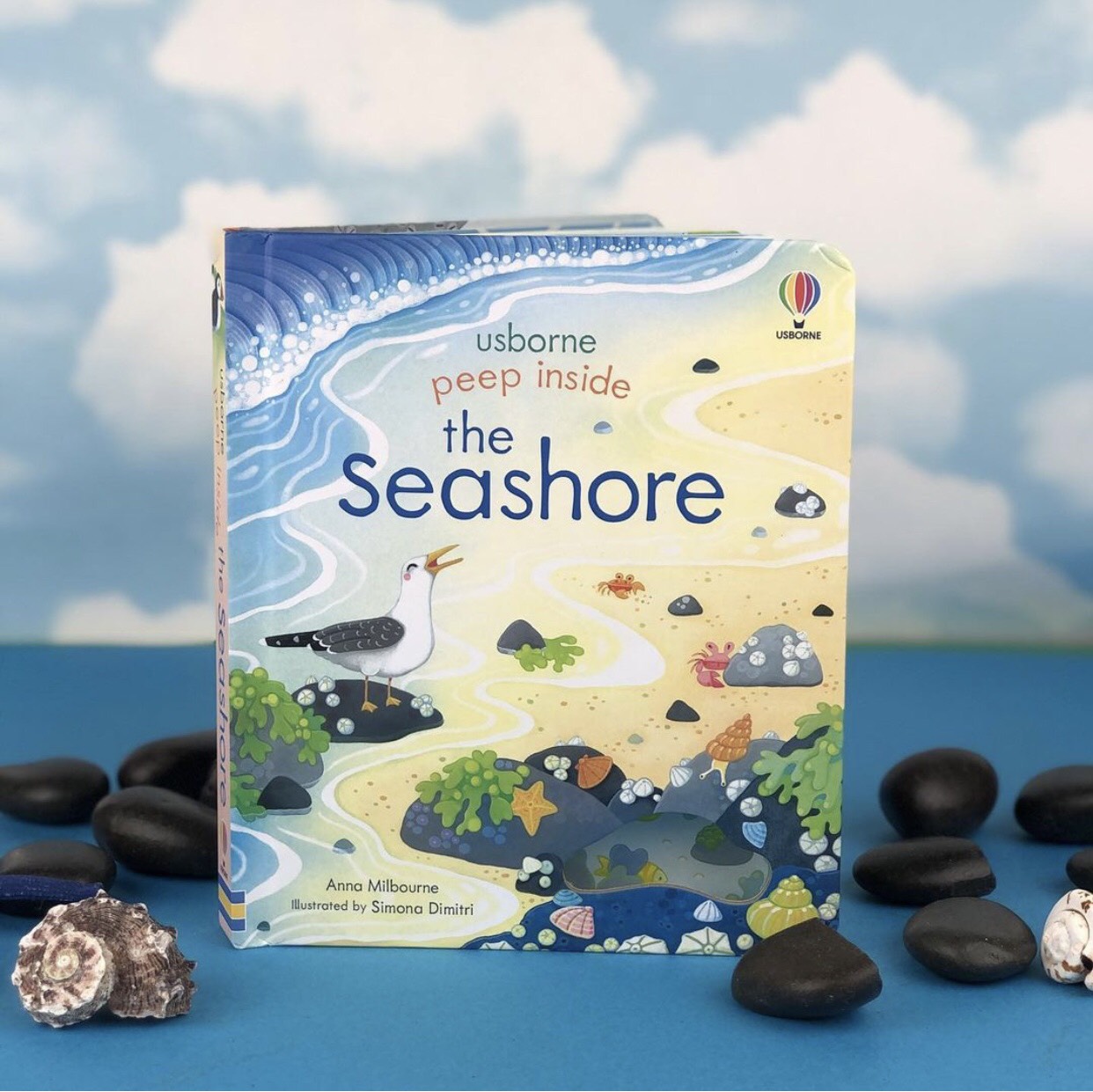 Peep Inside the seashore