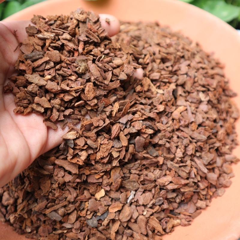 Vỏ thông vụn MEOW PINE BARK size 3-6mm | Dùng trồng sen đá, kiểng lá nhỏ