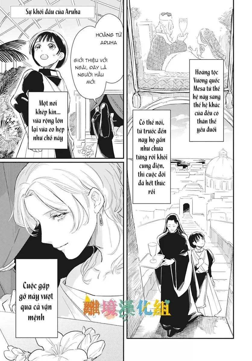 sự khởi đầu của aruha chapter 1.1 2